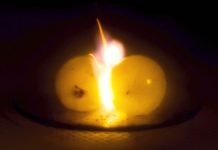 Scientists Finally Discover Why Grapes Ignite in the Microwave Scientists Finally Discover Why Grapes Ignite in the Microwave