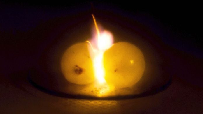 Scientists Finally Discover Why Grapes Ignite in the Microwave