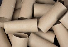 US plush toilet paper use wiping out Canada’s forests, Report US plush toilet paper use wiping out Canada's forests, Report