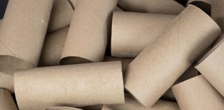 US plush toilet paper use wiping out Canada's forests, Report