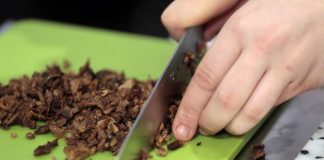 Woman dies after eating mushrooms from Michelin-star, Report Woman dies after eating mushrooms from Michelin-star, Report