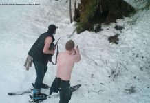 Alaska bear killed by poacher: footage released (Watch) Alaska bear killed by poacher: footage released (Watch)