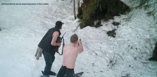 Alaska bear killed by poacher: footage released (Watch)