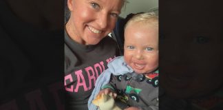 American Airlines apologizes to South Carolina mother, Report American Airlines apologizes to South Carolina mother, Report