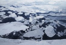 Arctic temperature rise, UN Report Says Arctic temperature rise, UN Report Says