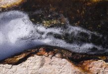 Bacteria use ‘air bridge’ to travel the world (New Study) Bacteria use 'air bridge' to travel the world (New Study)