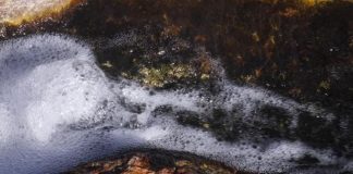 Bacteria use ‘air bridge’ to travel the world (New Study) Bacteria use 'air bridge' to travel the world (New Study)