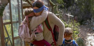 Bird Box tragedy footage pulled after criticism Bird Box tragedy footage pulled after criticism