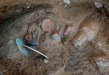 Etruscan Tomb Unearthed in Corsica (Photo) Etruscan Tomb Unearthed in Corsica (Photo)