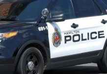 Hamilton GO collision: Woman, 84, struck and killed by bus driver Hamilton GO collision: Woman, 84, struck and killed by bus driver