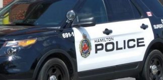 Hamilton GO collision: Woman, 84, struck and killed by bus driver Hamilton GO collision: Woman, 84, struck and killed by bus driver
