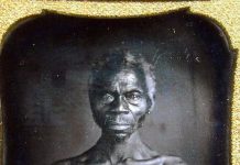 Harvard Profits From Photos Of Slaves (Reports) Harvard Profits From Photos Of Slaves (Reports)