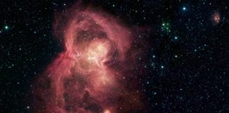 NASA finds ‘butterfly’ in space (Study) NASA finds 'butterfly' in space (Study)