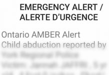 Police reveal details of Amber Alert complaints made to 911 (Reports) Police reveal details of Amber Alert complaints made to 911 (Reports)