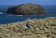 Remote cape “cleanest air” offers smog respite (Reports) Remote cape "cleanest air" offers smog respite (Reports)