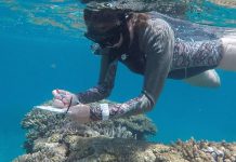 Satellites in effort to save the world’s coral reefs (Reports) Satellites in effort to save the world's coral reefs (Reports)