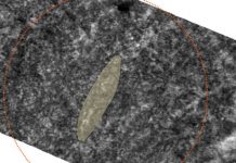 Scientists believe Norway find is rare Viking ship burial Scientists believe Norway find is rare Viking ship burial