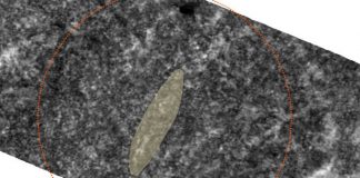 Scientists believe Norway find is rare Viking ship burial