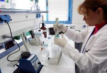 Scientists growing ‘bacon’ in labs (New Study) Scientists growing 'bacon' in labs (New Study)