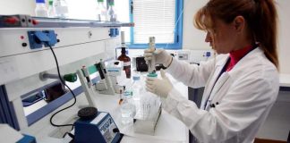 Scientists growing 'bacon' in labs (New Study)