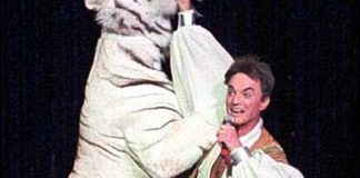 Siegfried and Roy tiger trainer suggests cover up in 2003 mauling