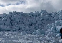 Towering ice wall emerges near Newfoundland town (Photo) Towering ice wall emerges near Newfoundland town (Photo)