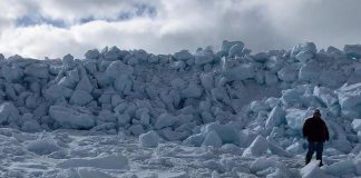 Towering ice wall emerges near Newfoundland town (Photo) Towering ice wall emerges near Newfoundland town (Photo)
