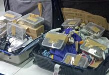Turtles, tortoises found in abandoned luggage (Photo) Turtles, tortoises found in abandoned luggage (Photo)