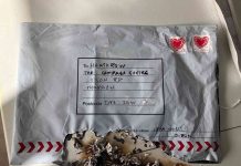 UK: ‘IRA’ claim responsibility for letter bombs UK: 'IRA' claim responsibility for letter bombs