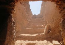 Egyptian Tomb Found With Dozens of Mummies (Reports) Egyptian Tomb Found With Dozens of Mummies (Reports)