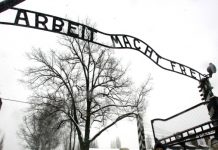 Man Charged of trying to steal from Auschwitz Man Charged of trying to steal from Auschwitz