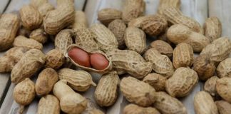 Peanut allergy treatment: Oral Immunotherapy Examined in Real-World Setting Peanut allergy treatment: Oral Immunotherapy Examined in Real-World Setting