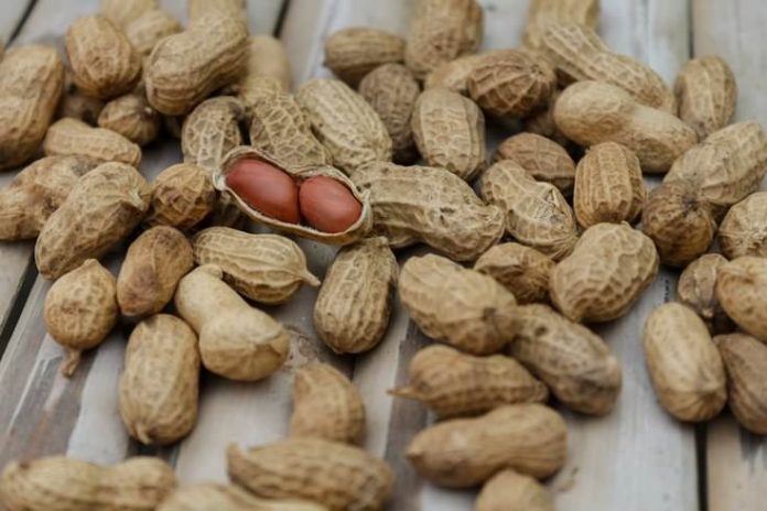 Peanut allergy treatment: Oral Immunotherapy Examined in Real-World Setting