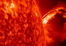 Researchers predict a new solar cycle (Reports) Researchers predict a new solar cycle (Reports)
