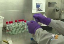 Superbug Fungus Sickens More Than 300 In New York State, Report Superbug Fungus Sickens More Than 300 In New York State, Report