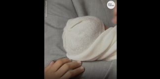 Harry Meghan baby picture: Duchess of Sussex, gives birth to boy Harry Meghan baby picture: Duchess of Sussex, gives birth to boy