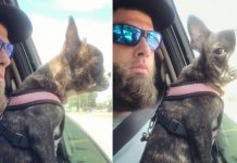 Jenelle Evans’ Husband Shoots and Kills Dog (Reports) Jenelle Evans' Husband Shoots and Kills Dog (Reports)