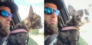 Jenelle Evans’ Husband Shoots and Kills Dog (Reports) Jenelle Evans' Husband Shoots and Kills Dog (Reports)