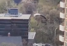Parachute seen in Toronto (Video) Parachute seen in Toronto (Video)