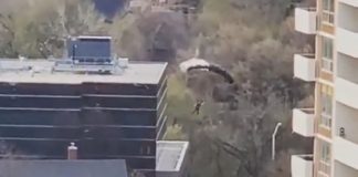 Parachute seen in Toronto (Video) Parachute seen in Toronto (Video)
