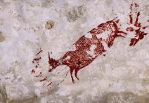 Discovery of ancient cave paintings in Indonesia rewrites history of spirituality Discovery of ancient cave paintings in Indonesia rewrites history of spirituality