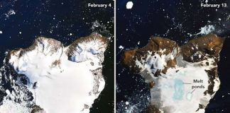 Antarctica's Eagle Island undergoes large-scale snow melt, Report