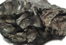 Complete protein molecule in a meteorite Complete protein molecule in a meteorite