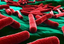 E.coli toxin in gut can trigger bowel cancer (Study) E.coli toxin in gut can trigger bowel cancer, Report