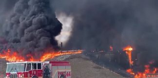 Holly McNally new mom saves truck driver from jet fuel fire Holly McNally new mom saves truck driver from jet fuel fire