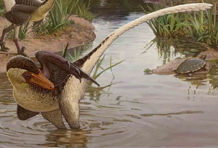 Dineobellator Found in New Mexico, a new fierce species of dinosaur
