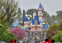 Disneyland to donate excess food after coronavirus closure, Report Disneyland to donate excess food after coronavirus closure, Report