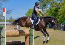 Katharine Morel, Equestrian athlete from Fort Saskatchewan dies Katharine Morel, Equestrian athlete from Fort Saskatchewan dies