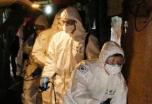 Kim Jong-un sends ‘get well soon’ wishes for South’s coronavirus battle Kim Jong-un sends 'get well soon' wishes for South's coronavirus battle