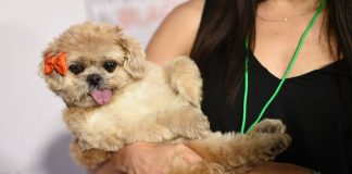 Marnie the dog dies at 18, according to her owner